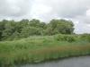 River and Reeds at Dwyer Farm_thumb.jpg 2.0K